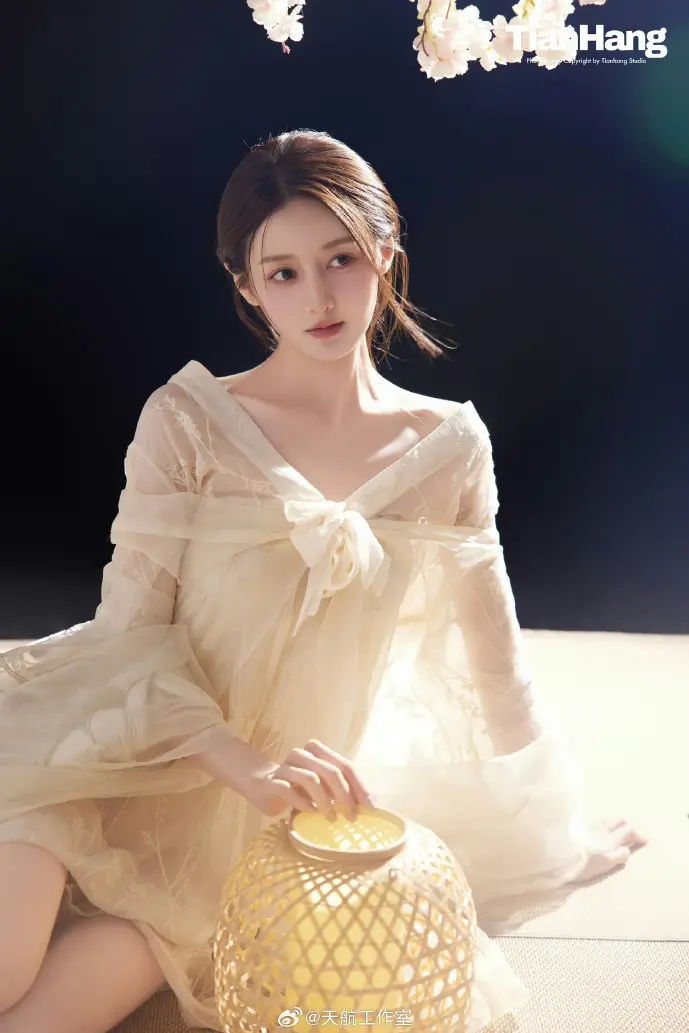 12333APP操作界面